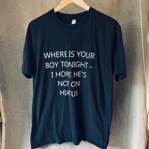 Fall Out Boy Hiatus Men's Short Sleeve T-Shirt, Large